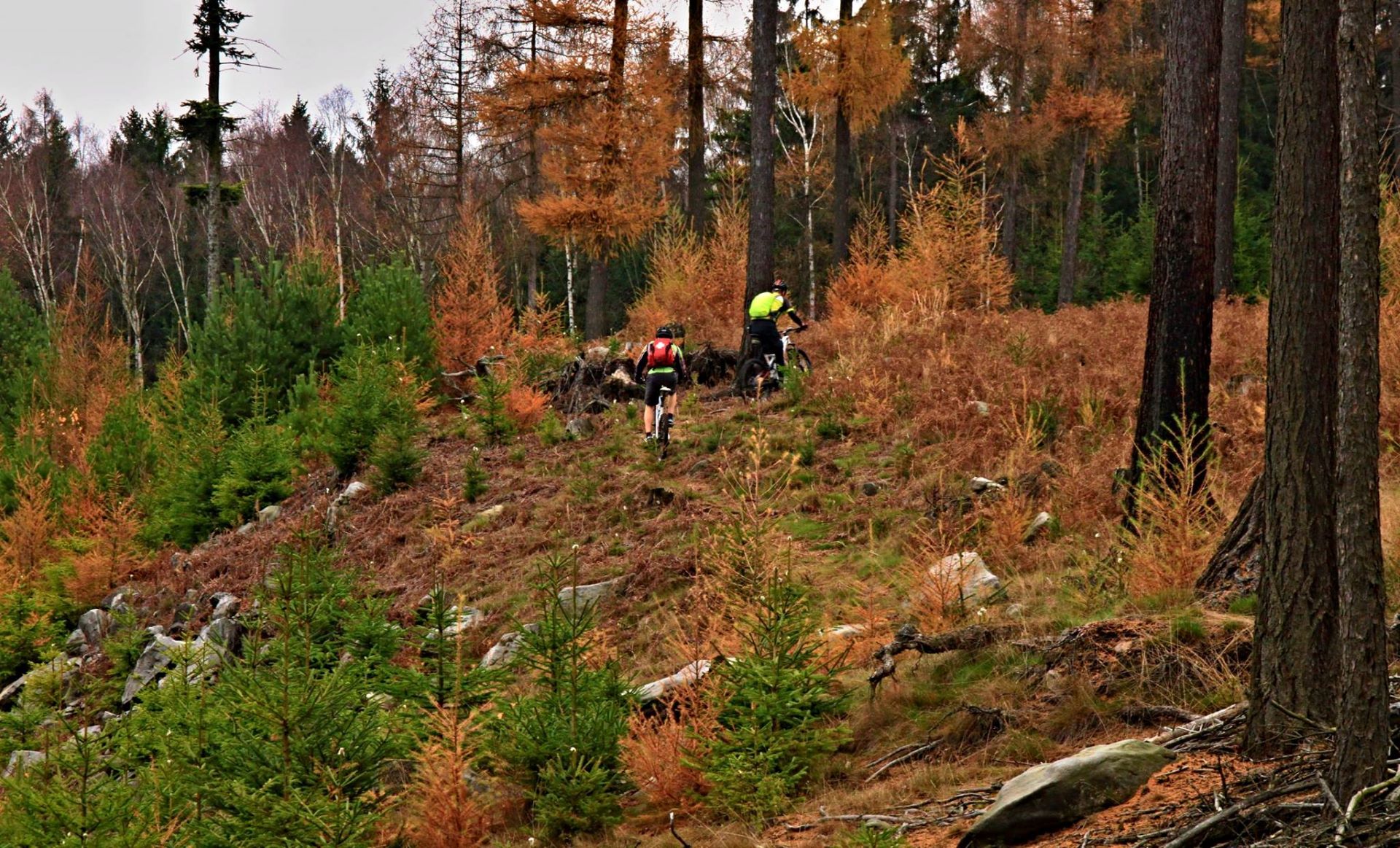 Trutnov, Kladsko-Grenzgebiet, Jestřebí-Gebirge