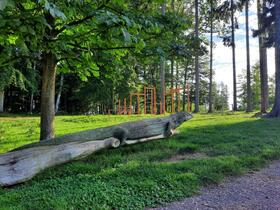 Trutnov, park a lesopark, venkovní tělocvična na Paradráze