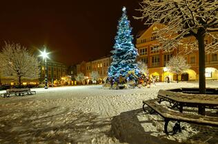 Trutnov, Krakonošovo náměstí, Vánoční strom, foto Lenka Hurdálková