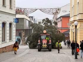 Trutnov, Krakonošovo náměstí, Vánoční strom,