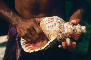 Trutnov, Společenské centrum Uffo, Jiří Kolbaba: To je Havaj!