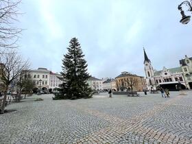 Trutnov, Krakonošovo náměstí, Vánoční strom,