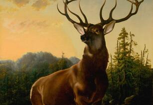 Trutnov, Galerie města Trutnova, Potkat jelena - setkání s autory výstavy