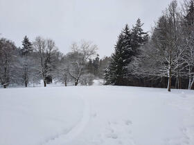 Trutnov, Park and forest park in winter