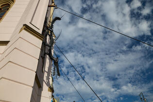 Trutnov, drak