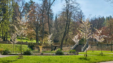 Trutnov, Park and forest park
