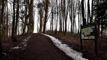 Trutnov, Park and forest park
