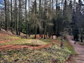 Trutnov, Městský park a lesopark, MTB stezky, Bike park Vlčka