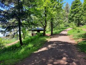 Trutnov, Městský park a lesopark, MTB stezky, Bike park Vlčka, lesní altán