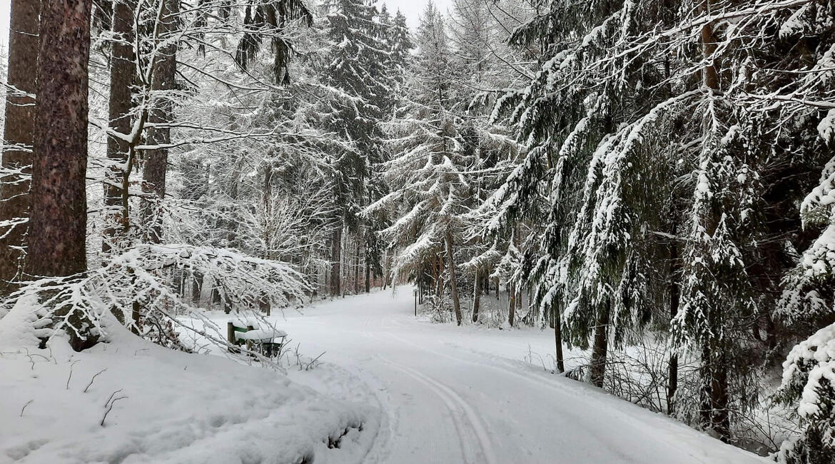 Trutnov, park and forest park, groomed cross-country ski tracks at Paradráha