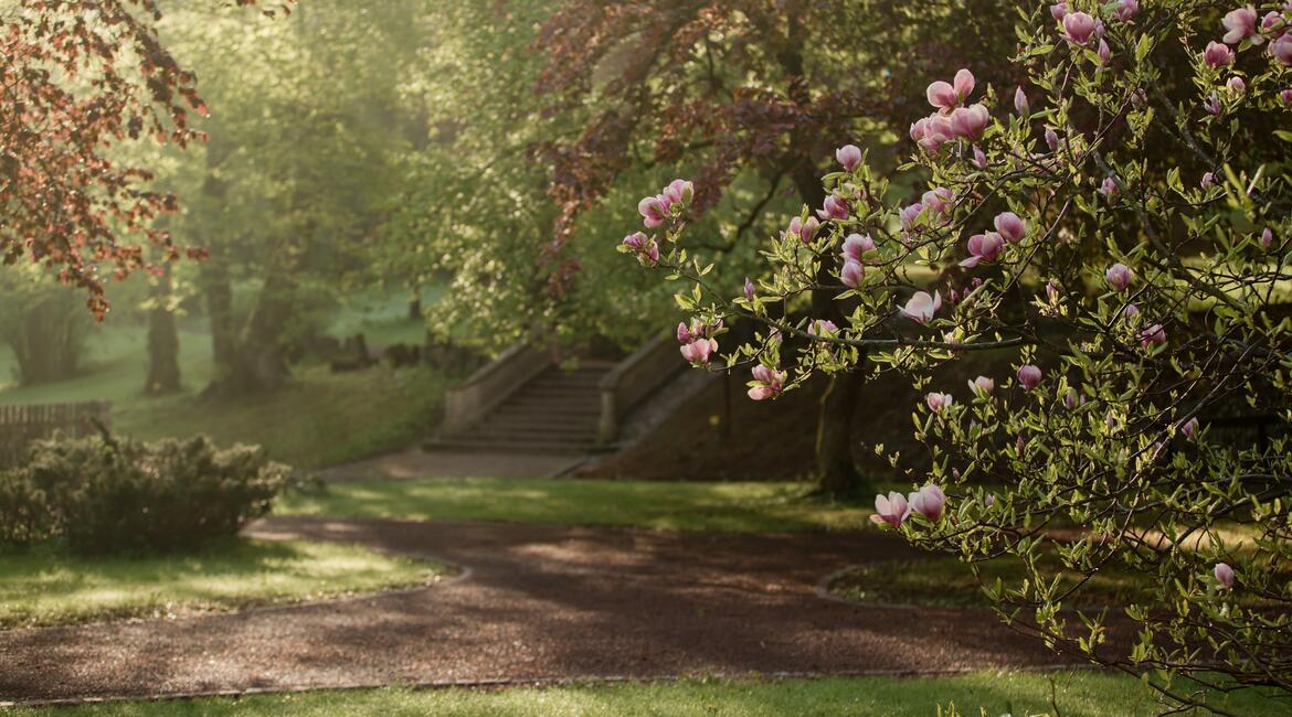Komentovaná prohlídka - Trutnovské podzemí