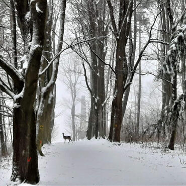 Trutnov, Gablenz, sníh