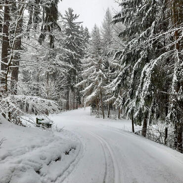 Trutnov, Park und Waldpark, gespurte Langlaufstrecken 